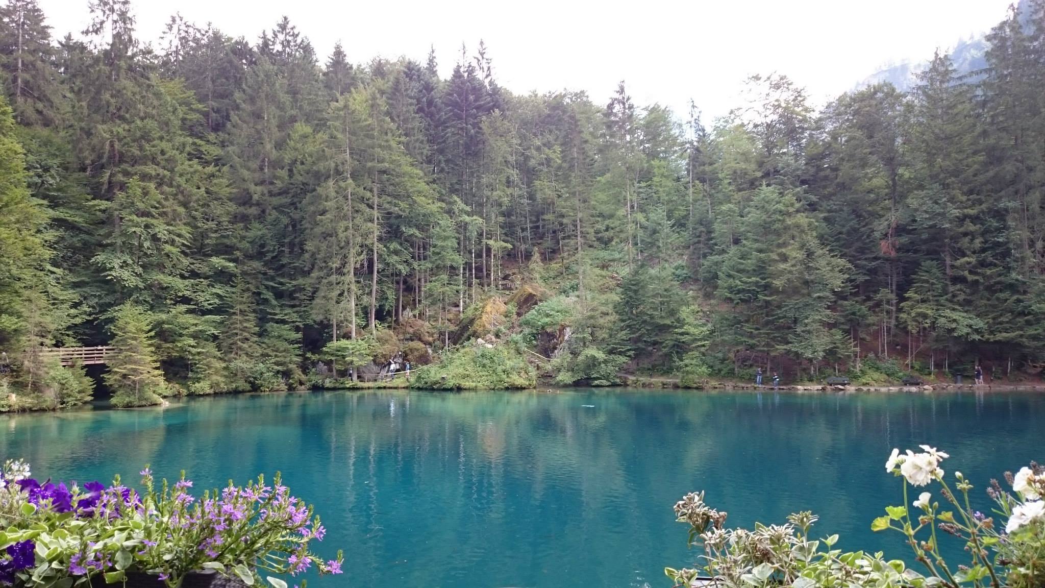 Sint-Martinus den XIIde - Internationaal kamp 2015 Kandersteg + Milaan